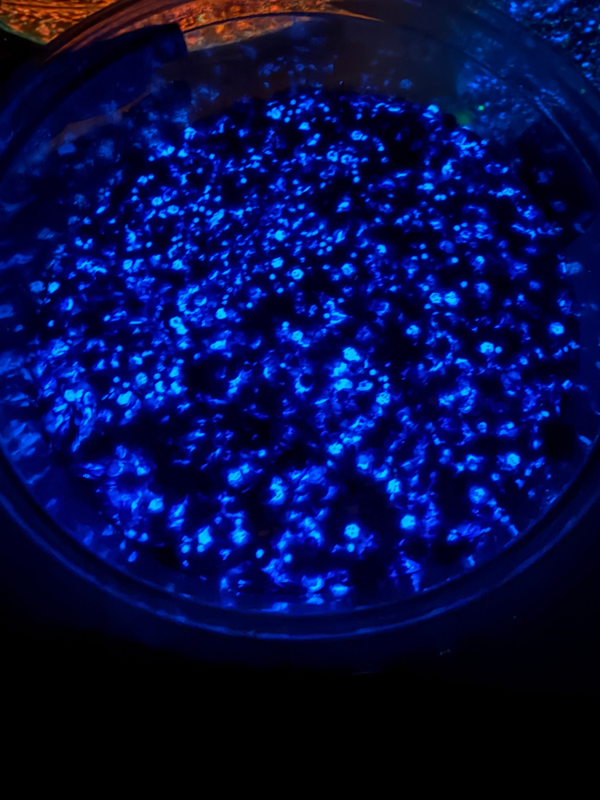 Hyacinth (Glow In the Dark)